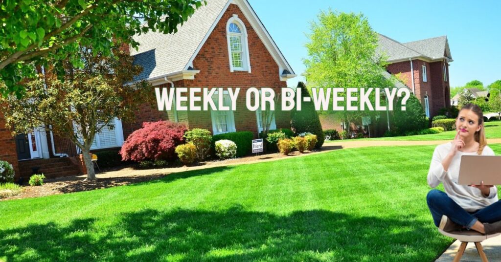 lawnmowerman- weekly or bi-weekly mowing services ottawa