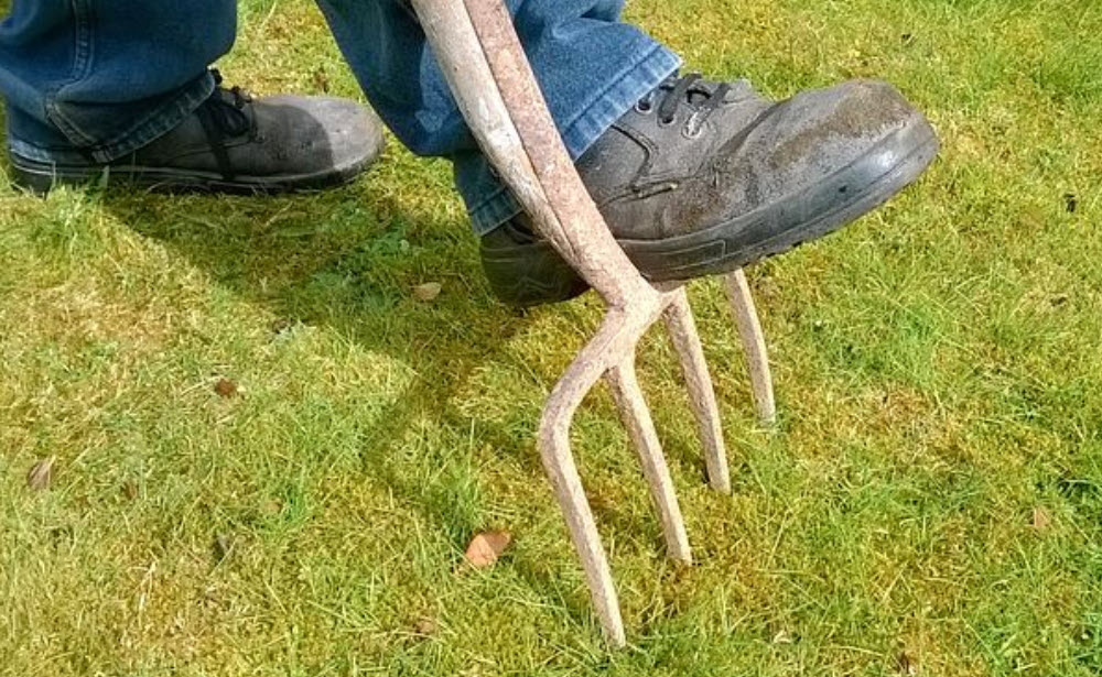 What is Lawn Aeration