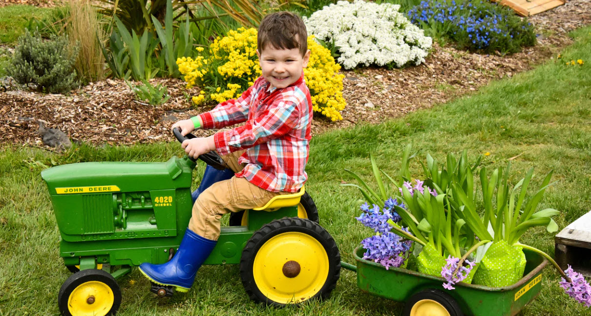 Lawn Mower Safety Tips