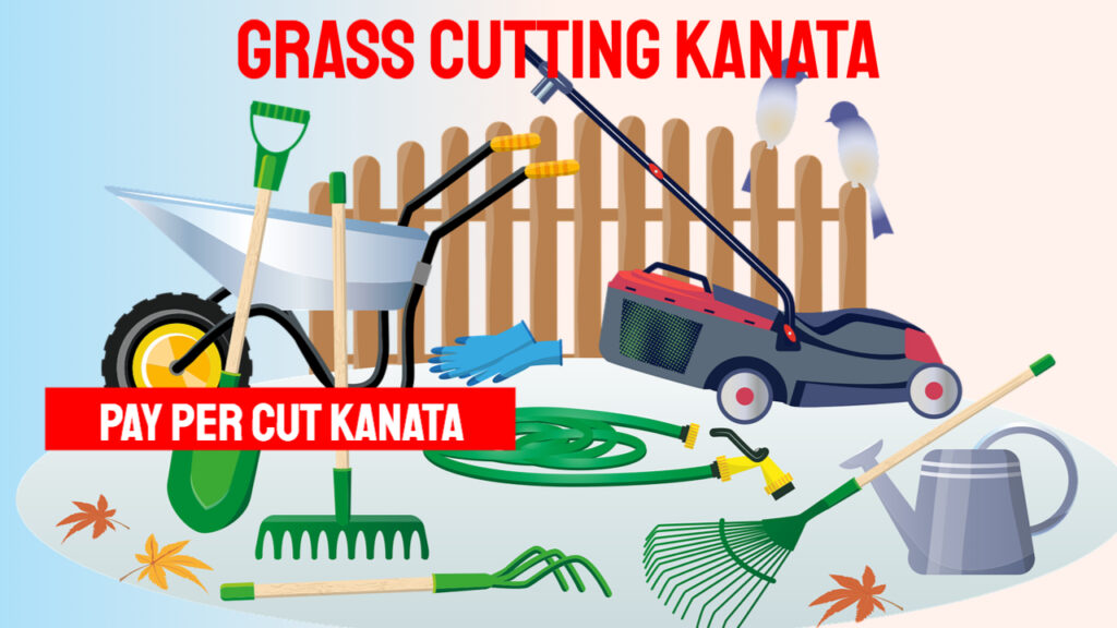 lawn mowing kanata