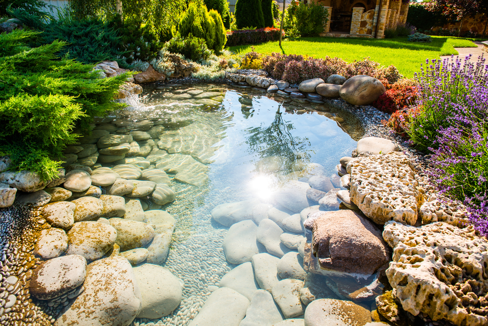 Ponds Backyard – Things You Need to Know About Building Backyard Ponds