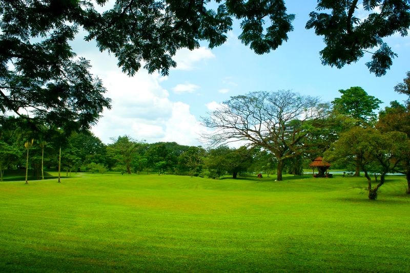 Lawn care Ottawa Nepean K2R