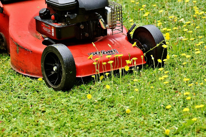 Expert Grass Cutting Services in Nepean to Boost Your Curb Appeal