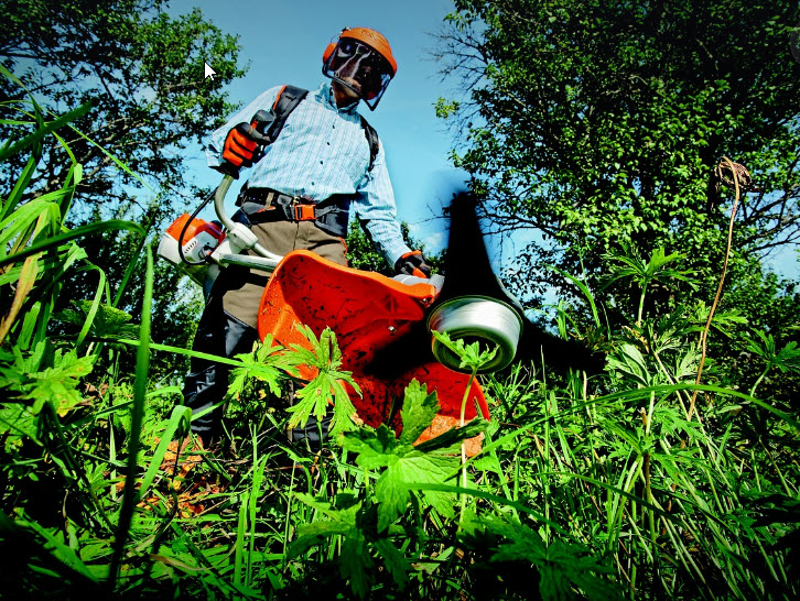 Expert Tips for Perfect Lawn Mowing in Nepean