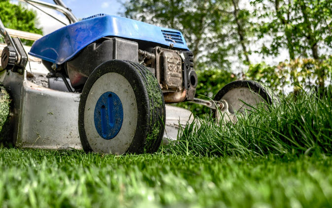 Expert Tips for Achieving the Perfect Lawn in Barrhaven