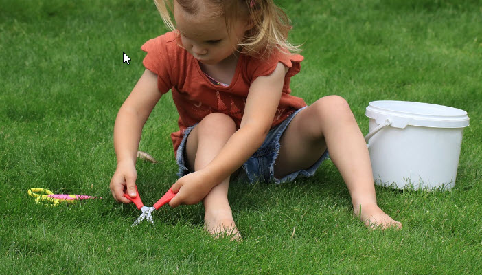 Get Your Lawn Summer-Ready with Professional Grass Cutting Services in Nepean